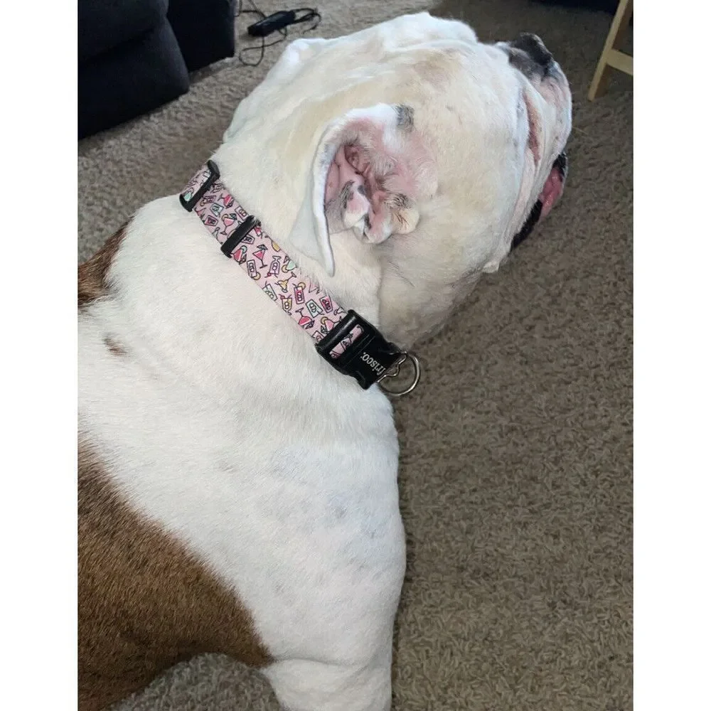 Frisco Cocktail Party Polyester Dog Collar, Large: 18 to 26 in Neck, 1 inch Wide